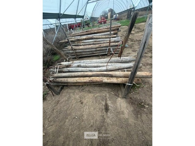 Tuinpalen ± 220 cm, ± 15 stuks - afbeelding 3 van  3