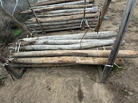 Tuinpalen ± 220 cm, ± 15 stuks - afbeelding 3 van  3