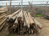 Tuinpalen ± 220 cm, ± 33 stuks - afbeelding 1 van  2