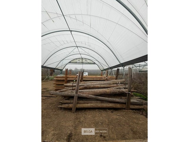 Tuinpalen ± 220 cm, ± 33 stuks - afbeelding 2 van  2