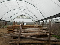 Tuinpalen ± 220 cm, ± 33 stuks - afbeelding 2 van  2