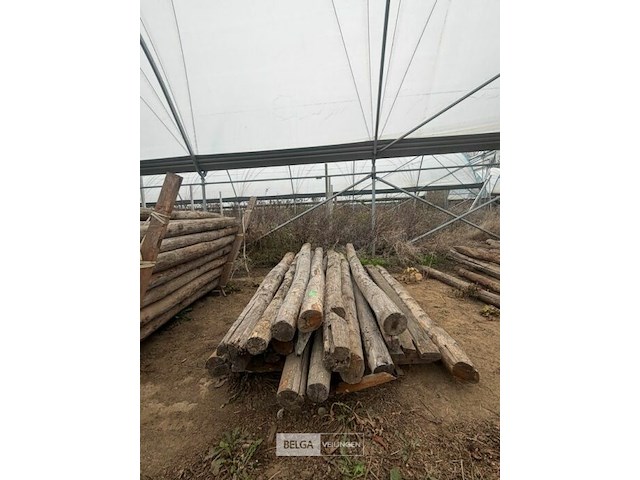 Tuinpalen ± 230 cm, ± 16 stuks - afbeelding 1 van  2