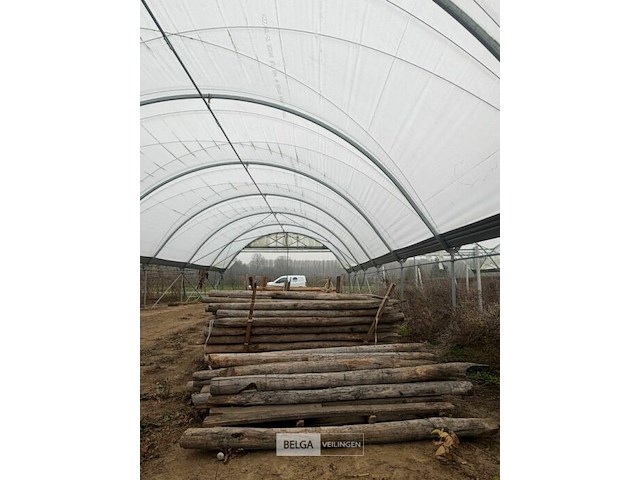 Tuinpalen ± 230 cm, ± 16 stuks - afbeelding 2 van  2