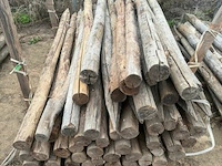 Tuinpalen ± 240 cm, ± 50 stuks - afbeelding 1 van  3