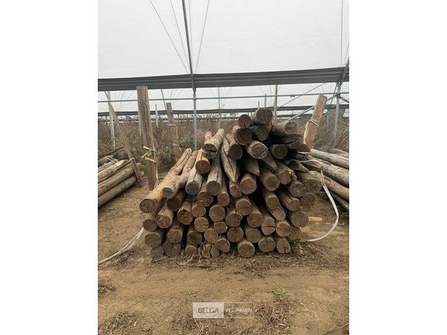 Tuinpalen ± 240 cm, ± 50 stuks - afbeelding 2 van  3