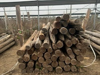 Tuinpalen ± 240 cm, ± 50 stuks - afbeelding 2 van  3