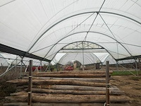 Tuinpalen ± 240 cm, ± 50 stuks - afbeelding 3 van  3