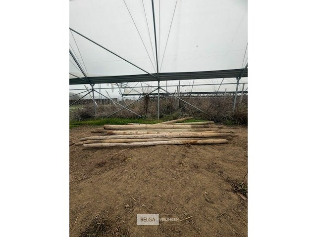 Tuinpalen ± 270 cm, ± 15 stuks - afbeelding 1 van  3