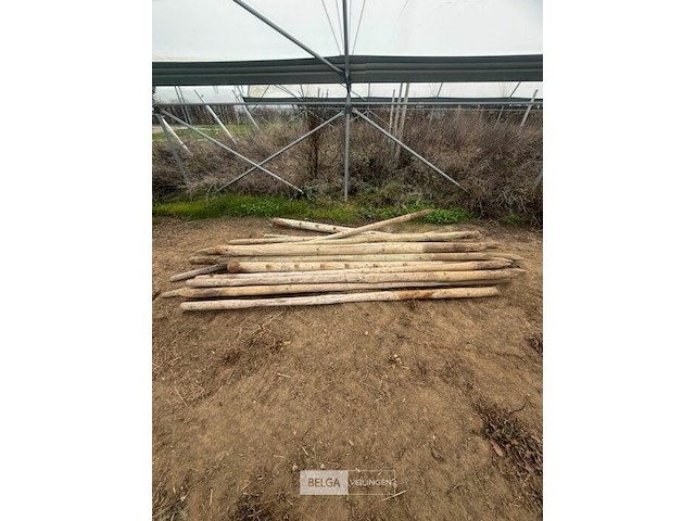 Tuinpalen ± 270 cm, ± 15 stuks - afbeelding 2 van  3
