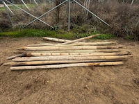 Tuinpalen ± 270 cm, ± 15 stuks - afbeelding 2 van  3