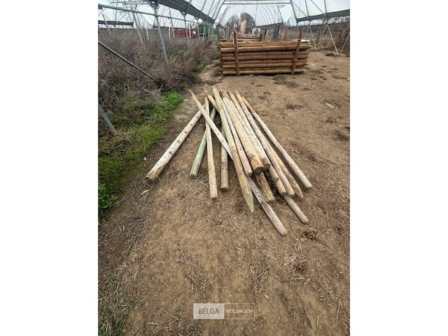 Tuinpalen ± 270 cm, ± 15 stuks - afbeelding 3 van  3