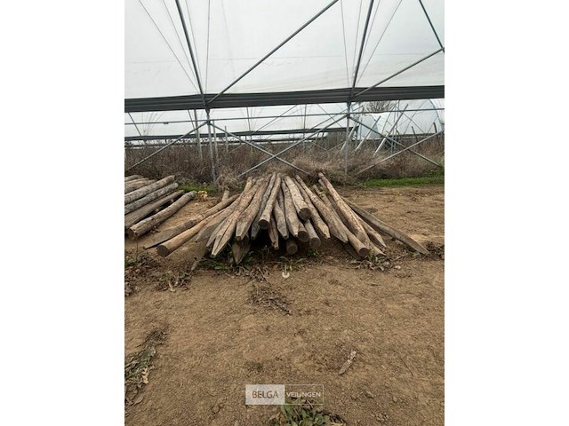 Tuinpalen ± 300 cm, ± 22 stuks - afbeelding 1 van  2