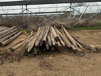 Tuinpalen ± 300 cm, ± 22 stuks - afbeelding 1 van  2