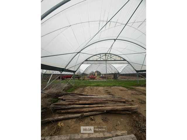 Tuinpalen ± 300 cm, ± 22 stuks - afbeelding 2 van  2