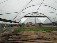 Tuinpalen ± 300 cm, ± 22 stuks - afbeelding 2 van  2