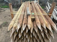 Tuinpalen ± 300 cm, ± 78 stuks - afbeelding 1 van  3