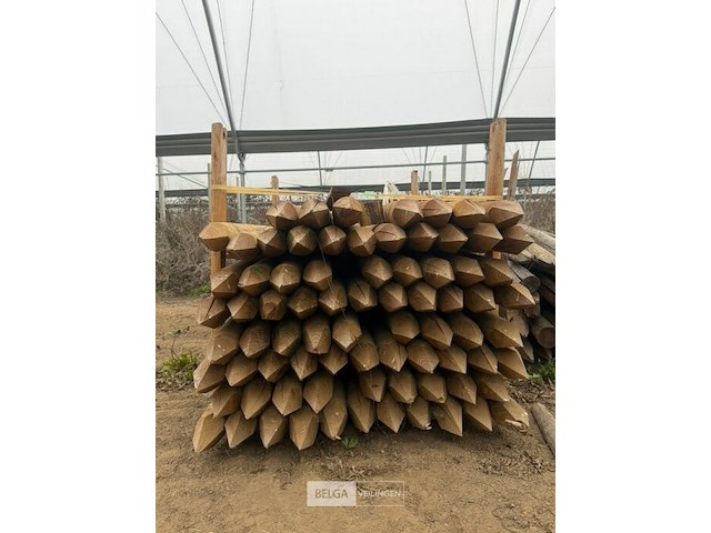Tuinpalen ± 300 cm, ± 78 stuks - afbeelding 2 van  3