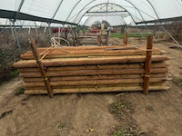 Tuinpalen ± 300 cm, ± 78 stuks - afbeelding 3 van  3