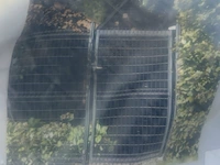 Tuinpoort betafence - afbeelding 3 van  6
