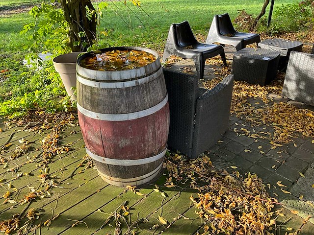 Tuinset - afbeelding 6 van  7