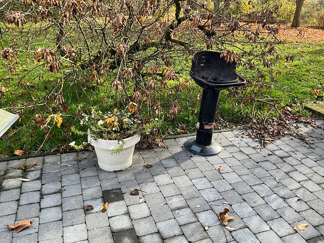 Tuinset - afbeelding 8 van  8