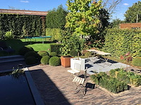 Tuinsets - afbeelding 12 van  14