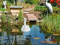 Tuin/vijverzwaan - afbeelding 2 van  5