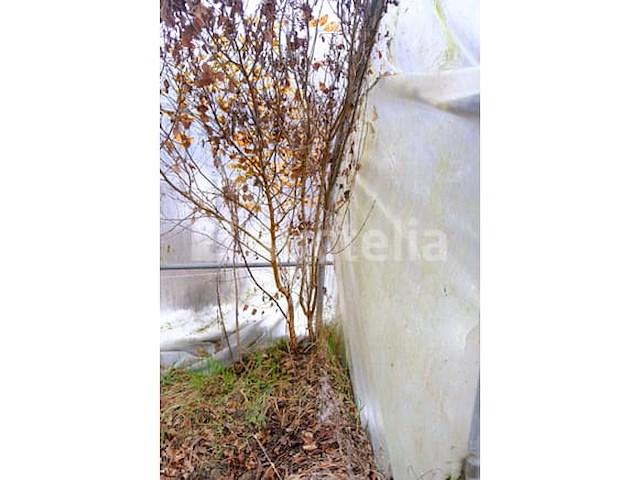 Tunnelkas - afbeelding 7 van  9