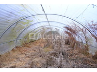 Tunnelkas - afbeelding 8 van  9