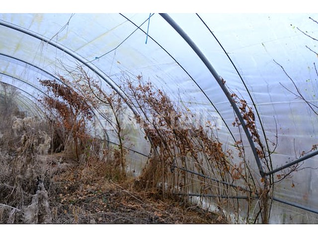 Tunnelkas - afbeelding 9 van  9