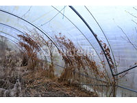 Tunnelkas - afbeelding 9 van  9