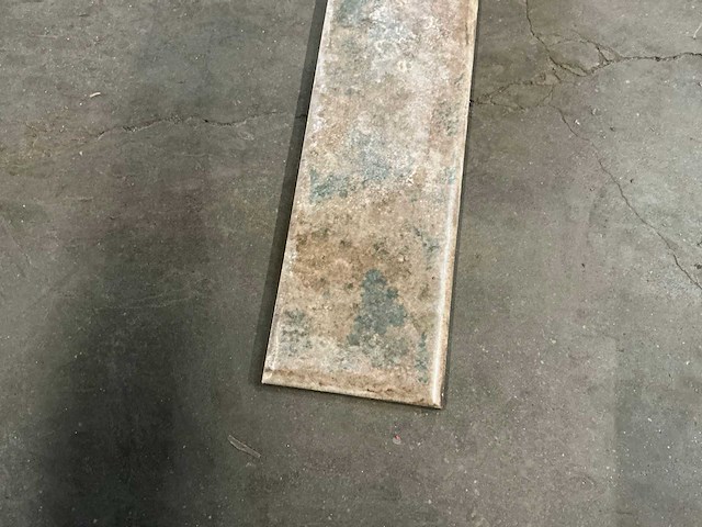 Turtle plint (1500x) - afbeelding 1 van  1