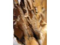 Tv-meubel met led-verlichting in melamine en pvc, walnootafwerking forme - afbeelding 6 van  7