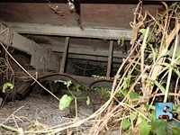 Tweassige aanhangwagen - afbeelding 8 van  31