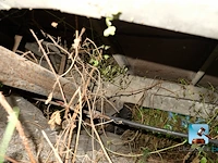 Tweassige aanhangwagen - afbeelding 9 van  31