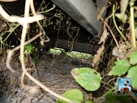Tweassige aanhangwagen - afbeelding 10 van  31