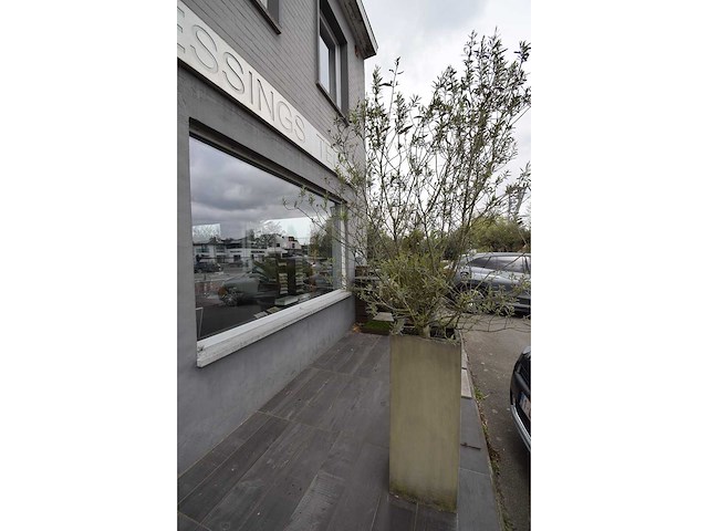 Twin set van 2 - olive tree (2x) - afbeelding 2 van  5