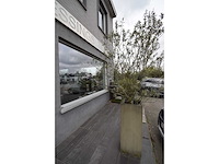 Twin set van 2 - olive tree (2x) - afbeelding 2 van  5