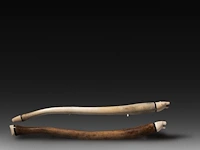 Two carved walrus baculum inuit oosik clubs, ending in carved polar bear's heads, l 55 - 56 cm