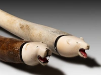 Two carved walrus baculum inuit oosik clubs, ending in carved polar bear's heads, l 55 - 56 cm - afbeelding 4 van  5