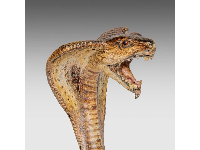Two cold-painted vienna bronze cobras by franz xavier bergmann (1861-1936), h 10-12,5 cm - afbeelding 2 van  10