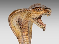 Two cold-painted vienna bronze cobras by franz xavier bergmann (1861-1936), h 10-12,5 cm - afbeelding 2 van  10