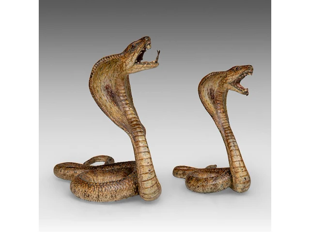 Two cold-painted vienna bronze cobras by franz xavier bergmann (1861-1936), h 10-12,5 cm - afbeelding 1 van  10