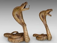 Two cold-painted vienna bronze cobras by franz xavier bergmann (1861-1936), h 10-12,5 cm