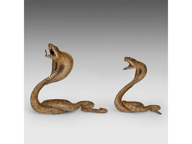 Two cold-painted vienna bronze cobras by franz xavier bergmann (1861-1936), h 10-12,5 cm - afbeelding 4 van  10