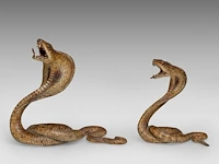 Two cold-painted vienna bronze cobras by franz xavier bergmann (1861-1936), h 10-12,5 cm - afbeelding 4 van  10