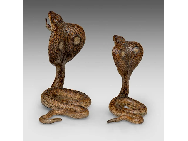 Two cold-painted vienna bronze cobras by franz xavier bergmann (1861-1936), h 10-12,5 cm - afbeelding 5 van  10