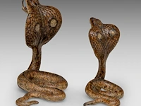 Two cold-painted vienna bronze cobras by franz xavier bergmann (1861-1936), h 10-12,5 cm - afbeelding 5 van  10
