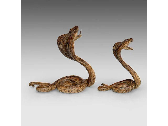 Two cold-painted vienna bronze cobras by franz xavier bergmann (1861-1936), h 10-12,5 cm - afbeelding 6 van  10