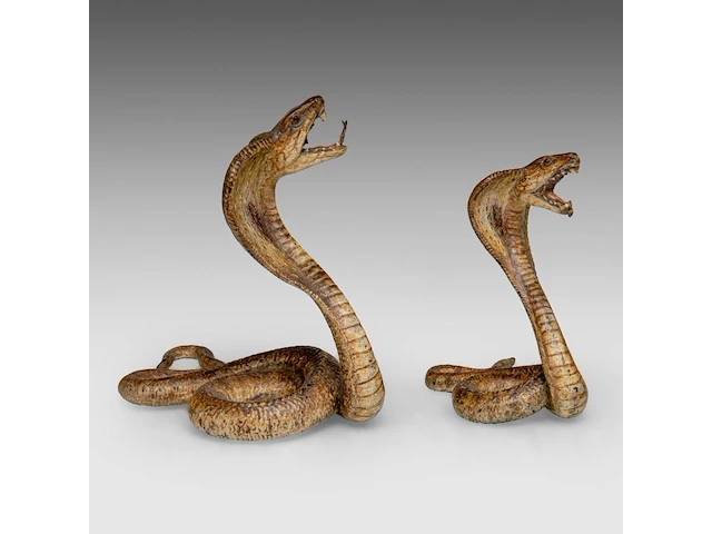 Two cold-painted vienna bronze cobras by franz xavier bergmann (1861-1936), h 10-12,5 cm - afbeelding 7 van  10